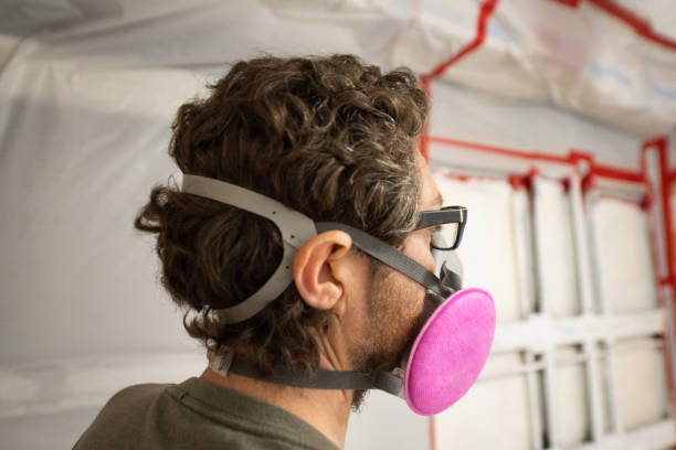 Best Airborne Mold Testing  in Tsaile, AZ