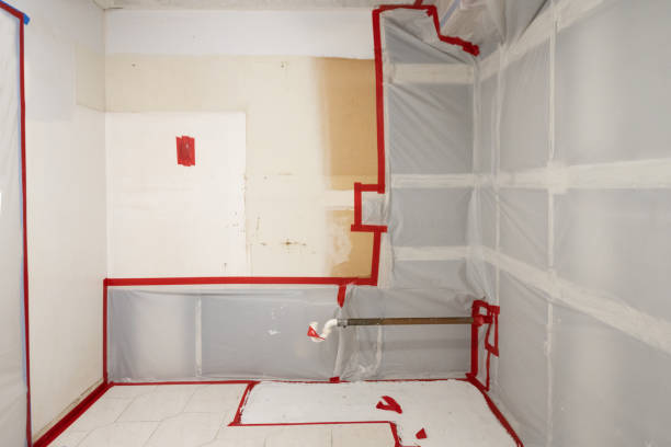 Best Environmental Consulting for Mold Prevention  in Tsaile, AZ